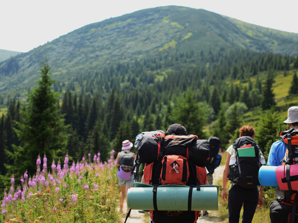 «Разработка и реализация мероприятия – секции «Приморский край – территория экотуризма» для форума «Арт-навигатор туризма»