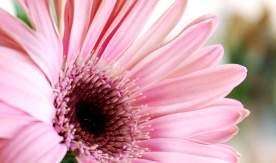 Поздравляем Номоконову Н.Н. с присвоением ВАК ученой степени доктора технических наук