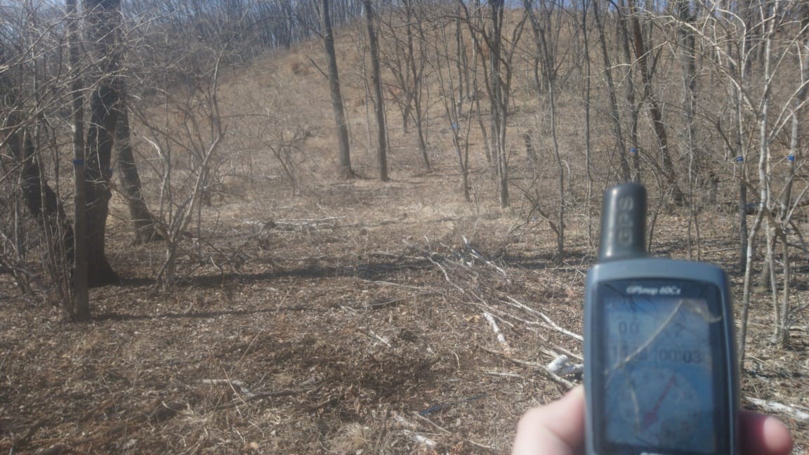 Описание растительности для инженерно-экологических изысканий на участке под строительство очистных сооружений в п. Тавричанка Надеждинского муниципального района