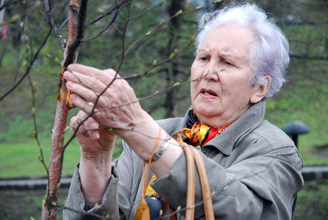 Ветераны войны и труженики тыла продолжают традицию высадки деревьев на аллее Памяти