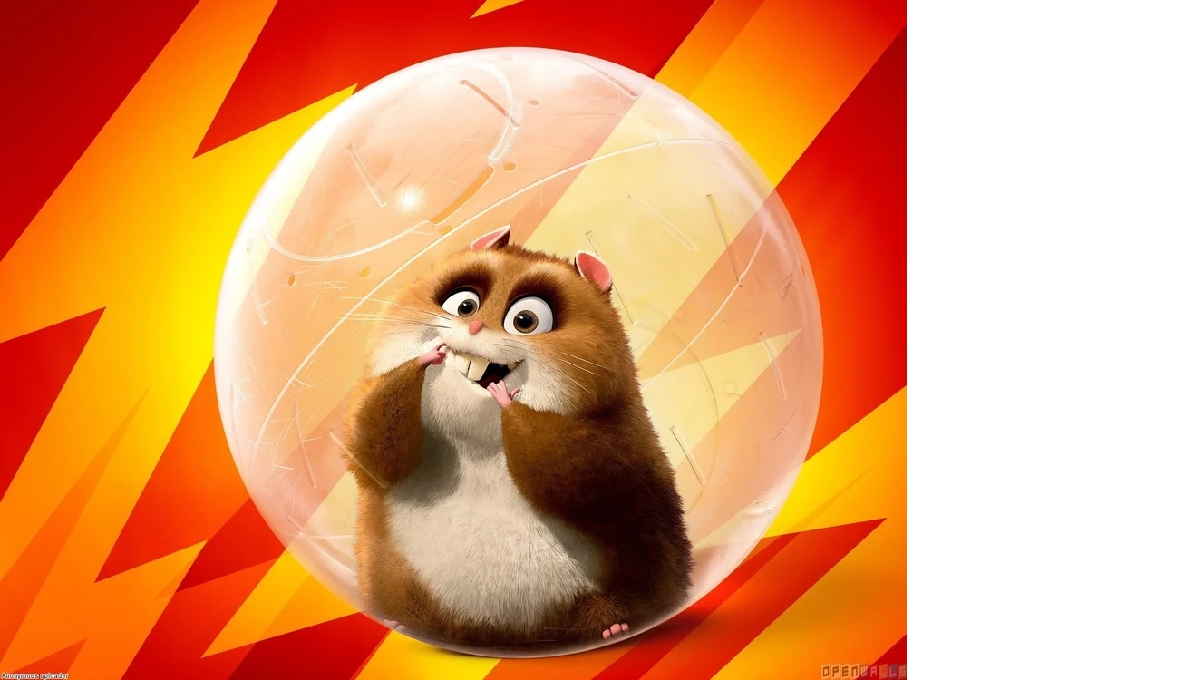 Колесо-генератор для животных