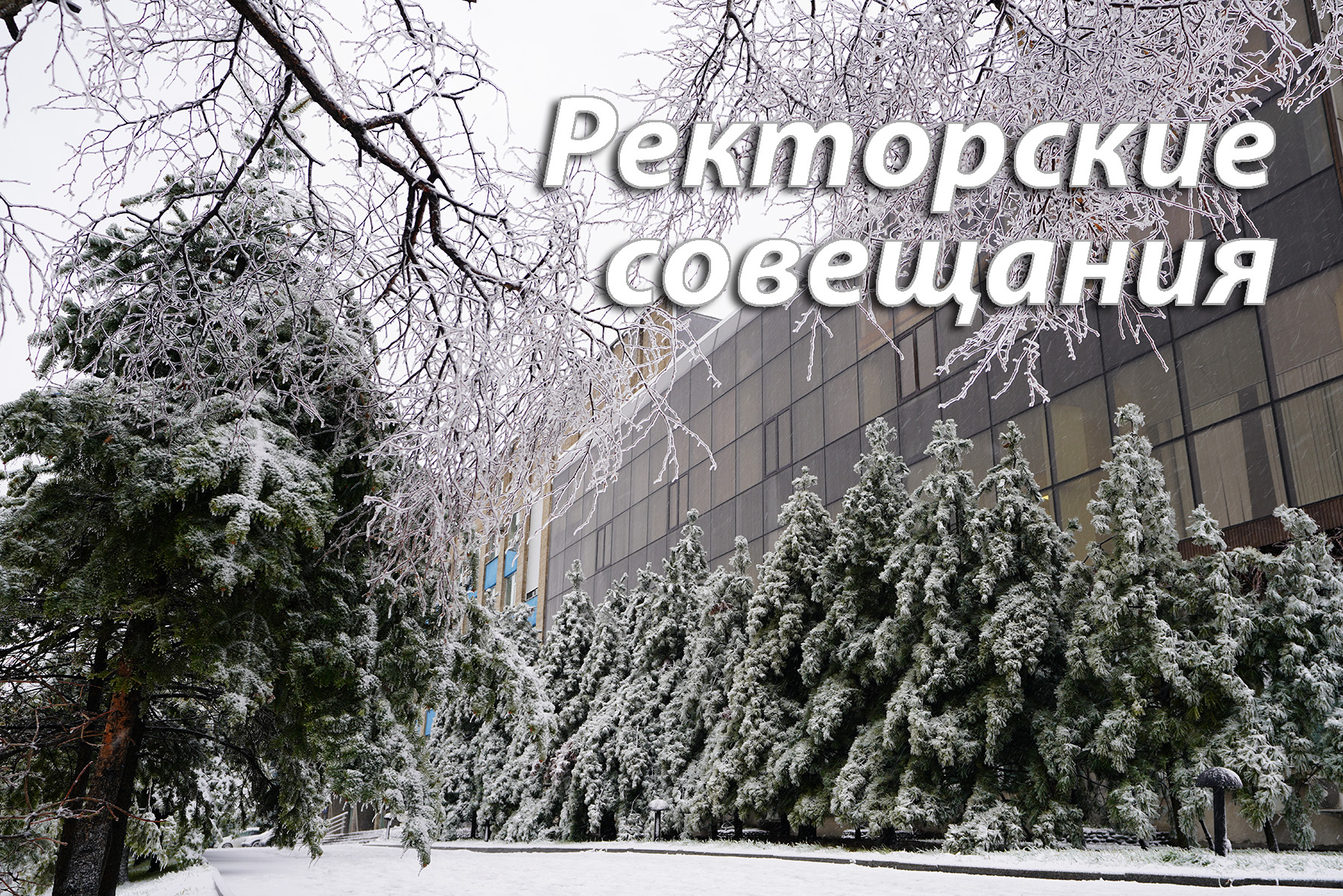 Ректор ВВГУ Татьяна Терентьева: Наши студенты будут входить в профессию уже на первом курсе Ректор ВВГУ Татьяна Терентьева: Наши студенты будут входить в профессию уже на первом курсе